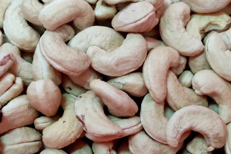 Cashew Industry in Problems