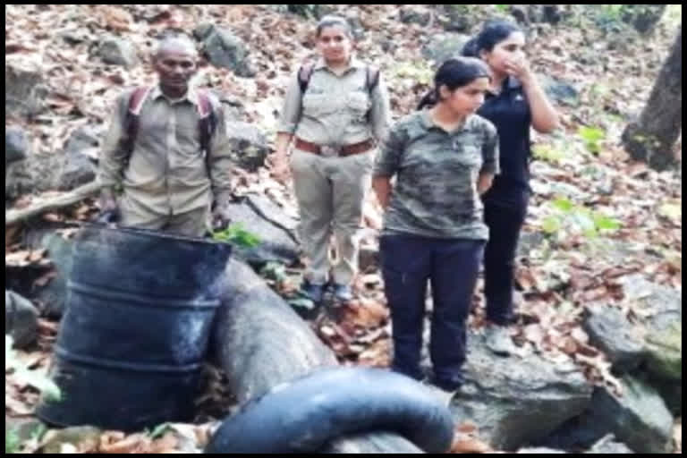 Department raids in Khara Toka forest