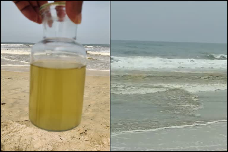 surathkal-beach-oil-spill-sample-sent-for-testing