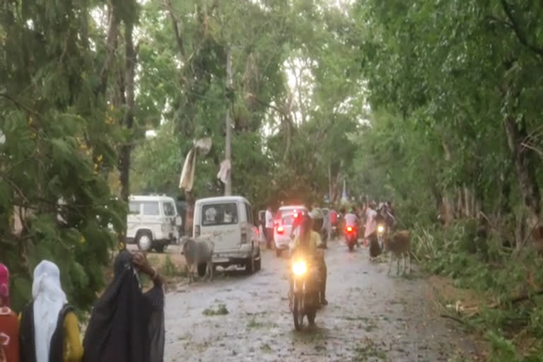 Rain in Gaurela Pendra Marwahi