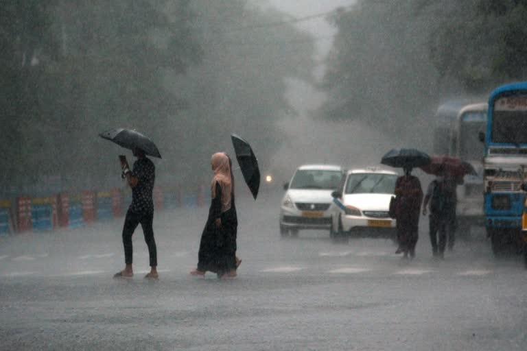 kerala rain update  കേരളം മഴ മുന്നറിയിപ്പ്  കേരളം മണ്‍സൂണ്‍  kerala monsoon