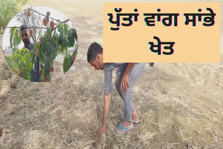 ਅਗਾਂਹ ਵਧੂ ਕਿਸਾਨ