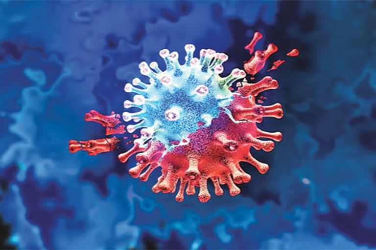 Coronavirus Update India