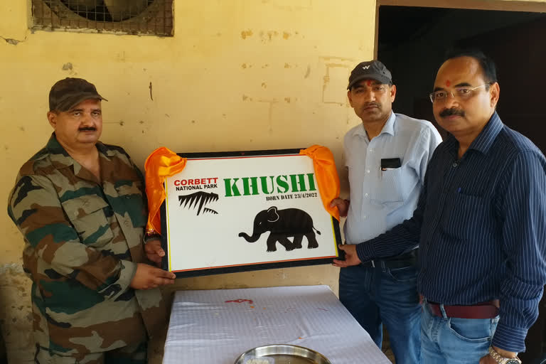 Female elephant Naming ceremony