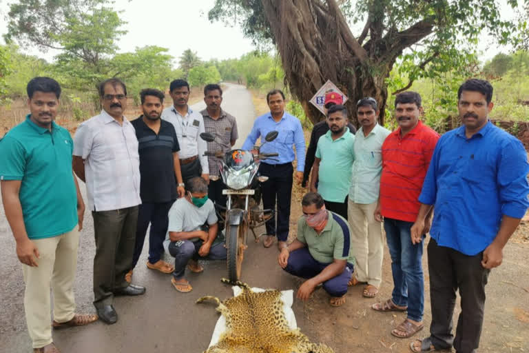 two people carrying leopard skins in police custody at sindudurag