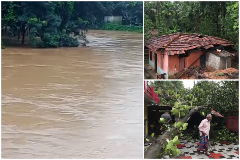 Kerala Heavy Rain  rain kerala updates  House damaged in heavy rain  kollam heavy rain  കൊല്ലത്ത് ശക്തമായ മഴ  കേരളം മഴ വാര്‍ത്ത  സംസ്ഥാനത്ത് മഴ തുടരുന്നു  കൊല്ലം കിഴക്കന്‍ മേഖല