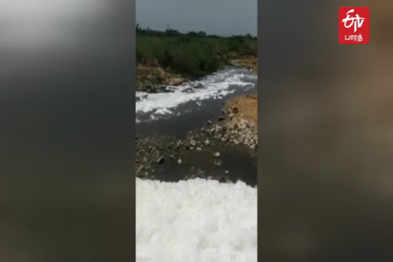 பாலாற்று தண்ணீரில் கழிவுநீர் கலப்பதாக பொதுமக்கள் புகார்