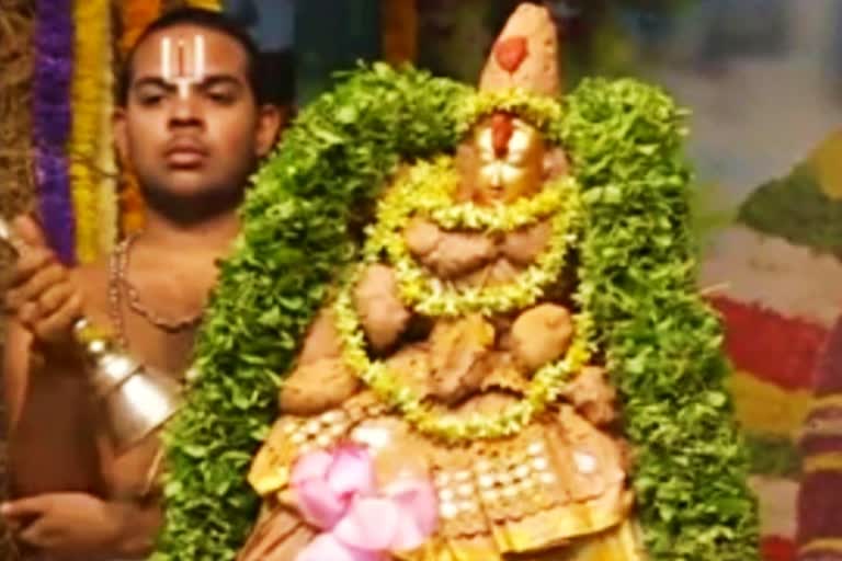 திருப்பதி பத்மாவதி அம்மனுக்கு விமர்சையாக நடந்த வசந்த விழா