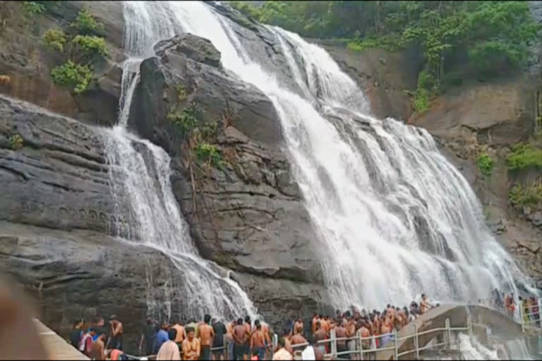 குளு குளு குற்றாலம்...சுற்றுலாப் பயணிகள் மகிழ்ச்சி