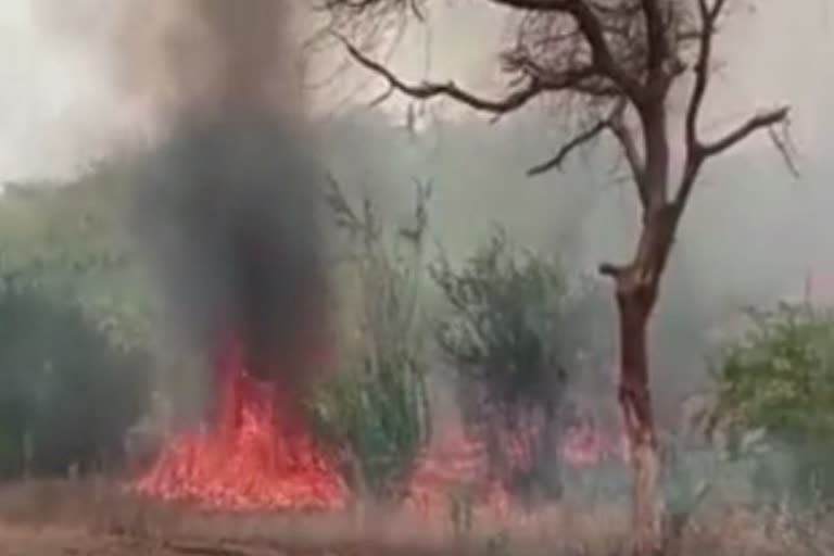 Fierce fire broke out in the hills of Nalpur of Behror