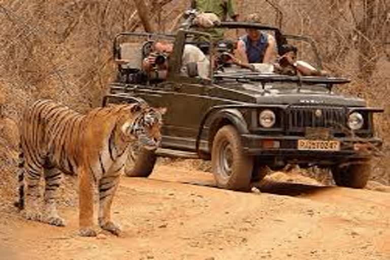 Ranthambore National Park