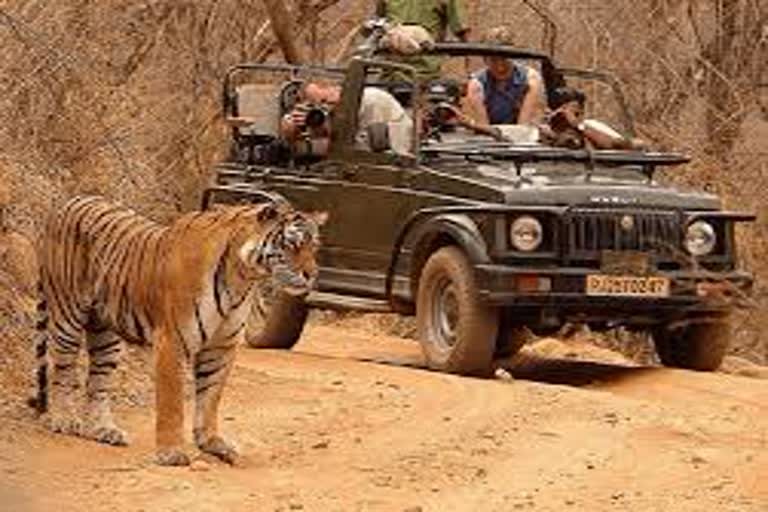 Ranthambore National Park, Ban on photography on guides and drivers in Ranthambore