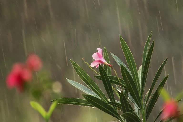 West Bengal Weather News