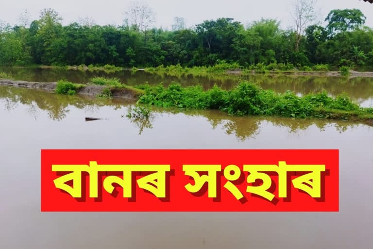 flood situation become critical in tamulpur