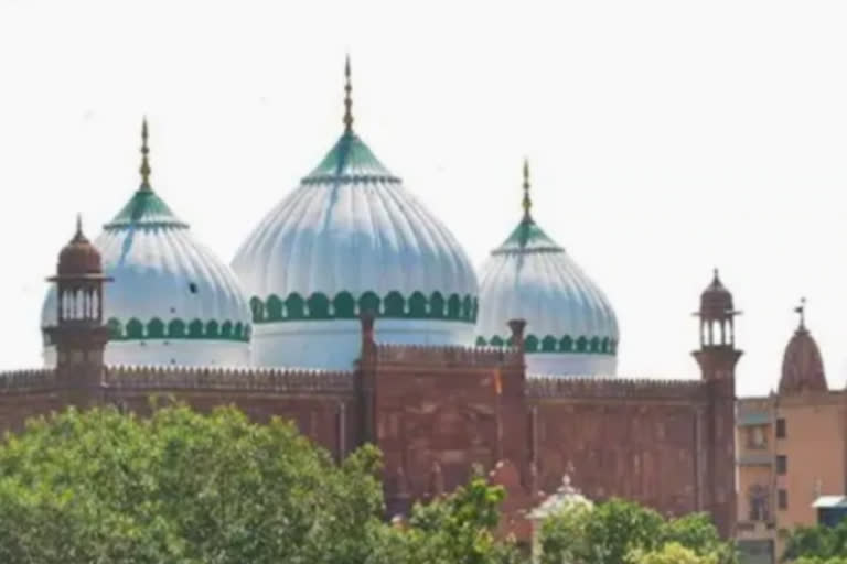 Plea seeks injunction against prayers at Mathura mosque