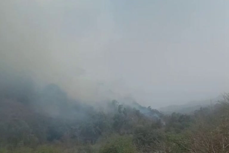 Mount Abu Forest Fire