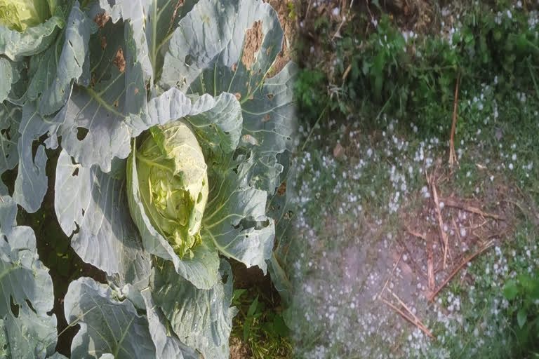 hailstorm in pauri