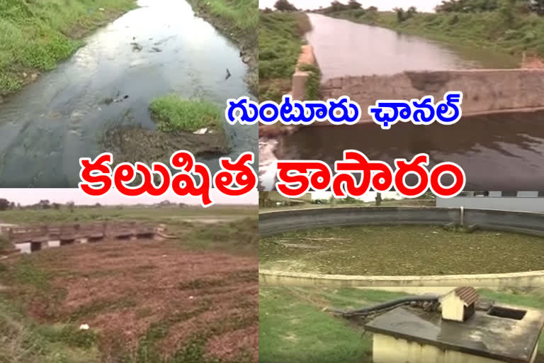 Contamination of Guntur channel