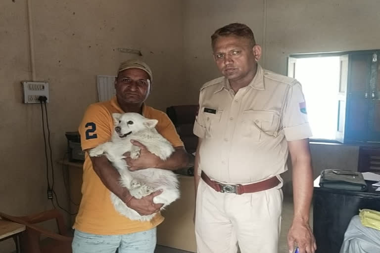 Churu Police recovered dog of comedian Murari Lal Pareek