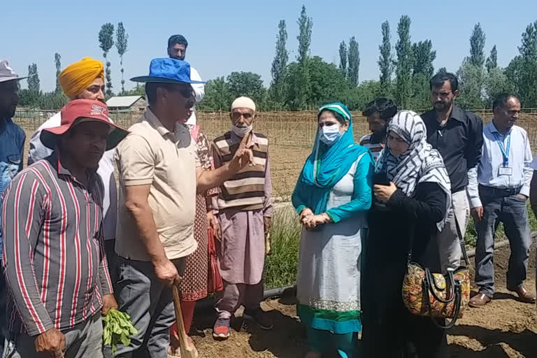 Farmers Day At Kreeri Pattan: کریری بارہمولہ میں کسان دیوس منایا گیا