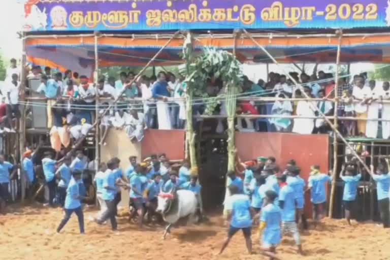 600 காளைகள், 300 மாடுபிடி வீரர்கள் பங்கேற்ற ஜல்லிக்கட்டு விழா