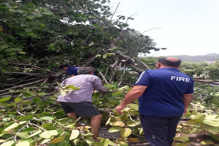 Haridwar Typhoon News