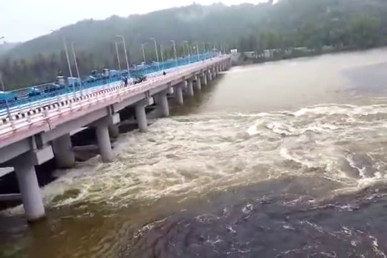 കാസര്‍കോട് മഴ  heavy rain in kasaragod  palayi shutter cum bridge opened  kerala rain updates  കേരളം മഴ വാര്‍ത്ത  കാസര്‍കോട് മലയോര മേഖല മഴ