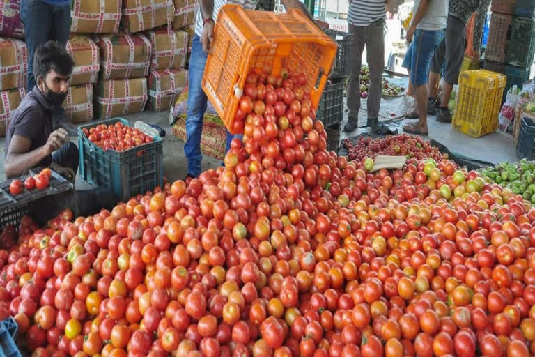 Tomato prices