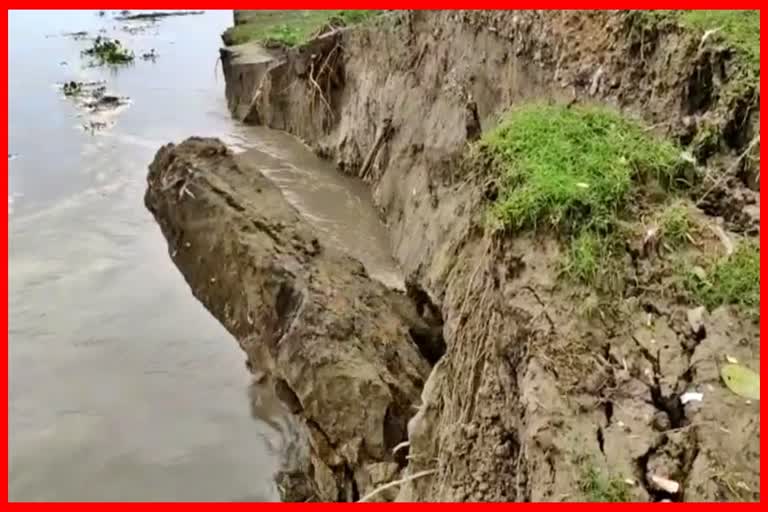 erosion-of-the-brahmaputra-in-barpeta