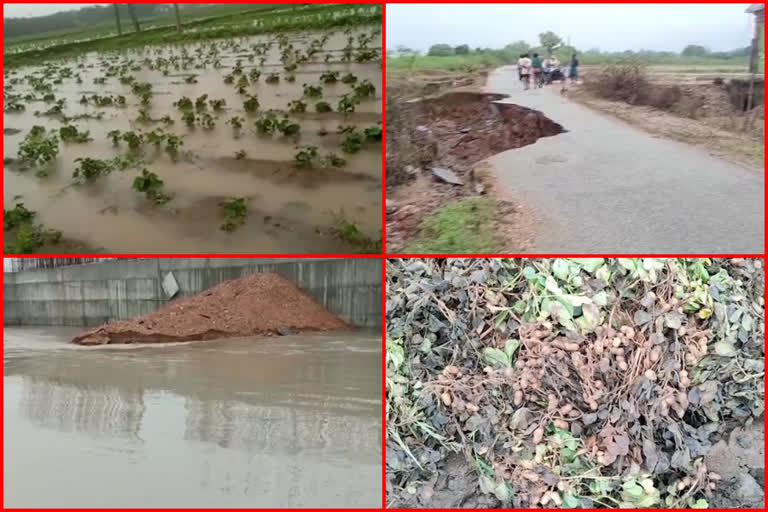 loss to farmers due to heavy rains in ananthapur and satya sai districts