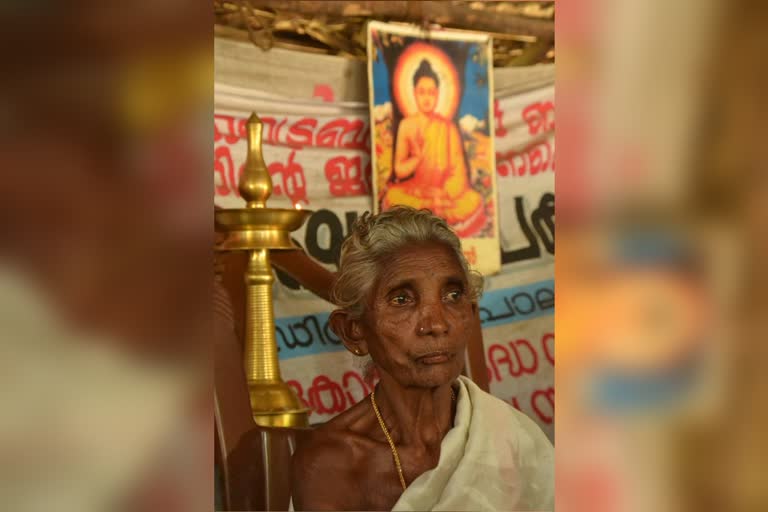 Plachimada activist Kanniyammal passes away  പ്ലാച്ചിമട സമര നായിക കന്നിയമ്മാള്‍ അന്തരിച്ചു  പ്ലാച്ചിമട സമര നേതാവ് കന്നിയമ്മാള്‍ അന്തരിച്ചു  പ്ലാച്ചിമട കൊക്കകോളക്കെതിരായ സമരം  protest against Coca Cola at Plachimada