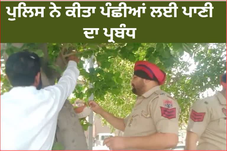 Bathinda police provided water for the animals