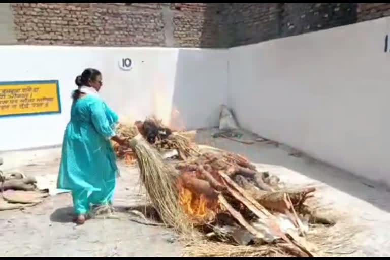 cremation of unclaimed body