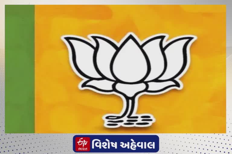 Gujarat Assembly Election 2022 : પાટીદાર પાવર વગર ભાજપને ચાલે તેમ નથી