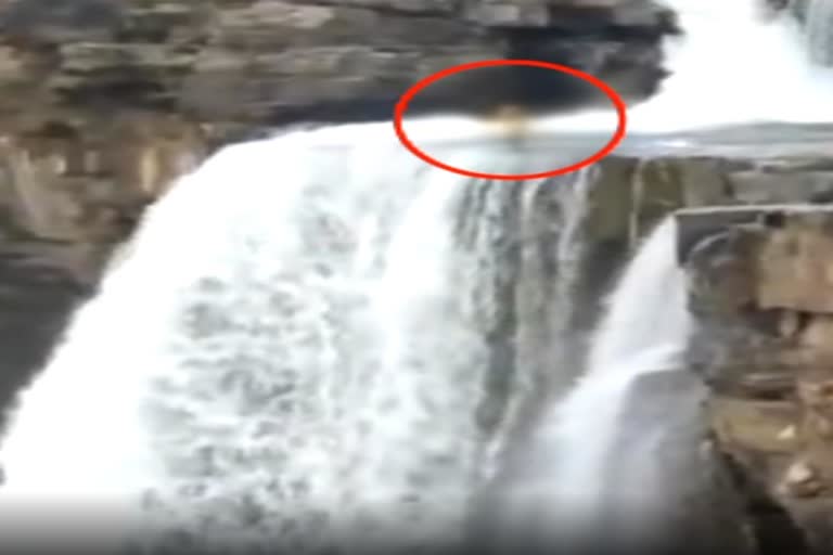 100 அடி உயரத்தில் இருந்து நீர்வீழ்ச்சியில் குதித்த சிறுமி