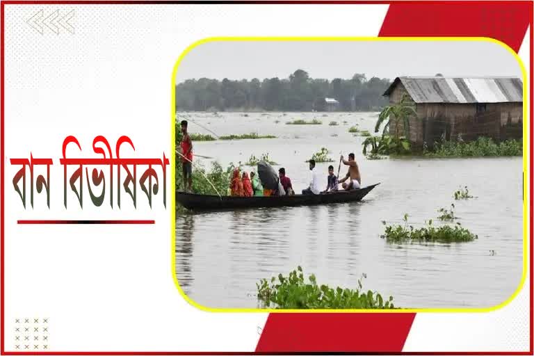 ৰাজ্যত বানৰ বিভীষিকা; ৰে’লপথত আশ্ৰয় সহস্ৰাধিক বন্যাৰ্ত