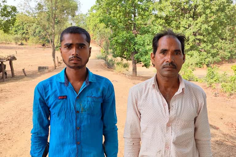 Smugglers taking animals forcibly to MP themselves reached jail