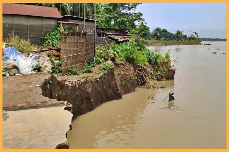 brahmaputra-river-erosion-at-baghbar-in-barpeta