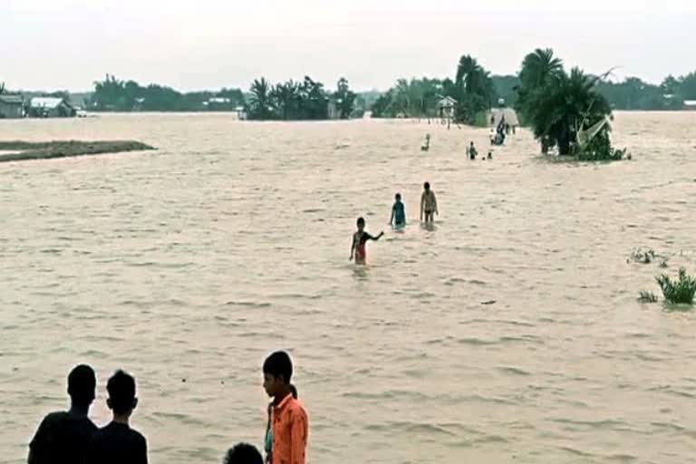 assam flood update  അസമിനെ വിട്ടൊഴിയാതെ പ്രളയം  heavy rain continuous in assam  മഹാപ്രളയത്തില്‍ നിന്നും കര കയറാതെ അസം