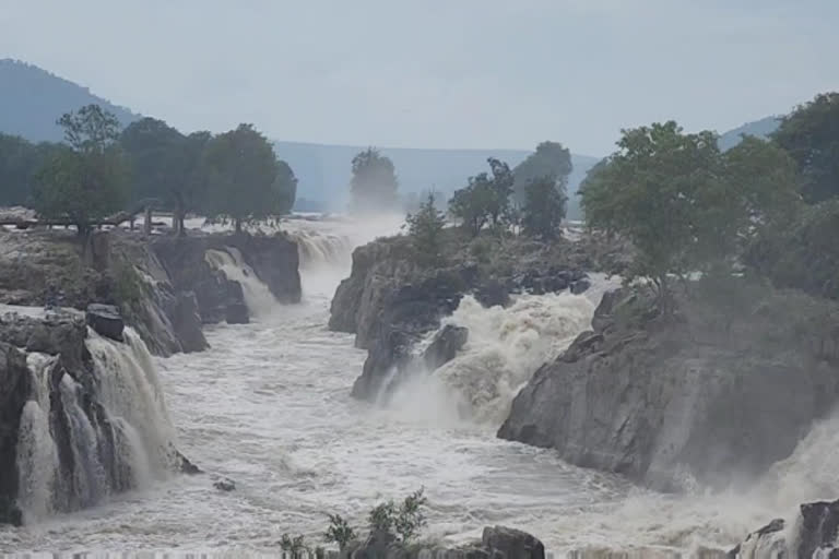 ஒகேனக்கல்லில் குளிக்க பரிசல் இயக்க 5 வது நாளாக நாளாக தடை நீட்டிப்பு!