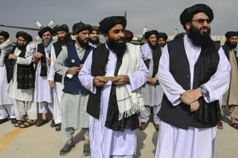 Taliban