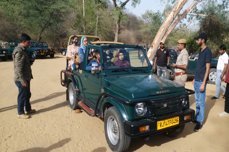 Amagarh Leopard Safari