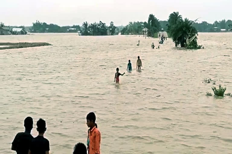 Assam flood