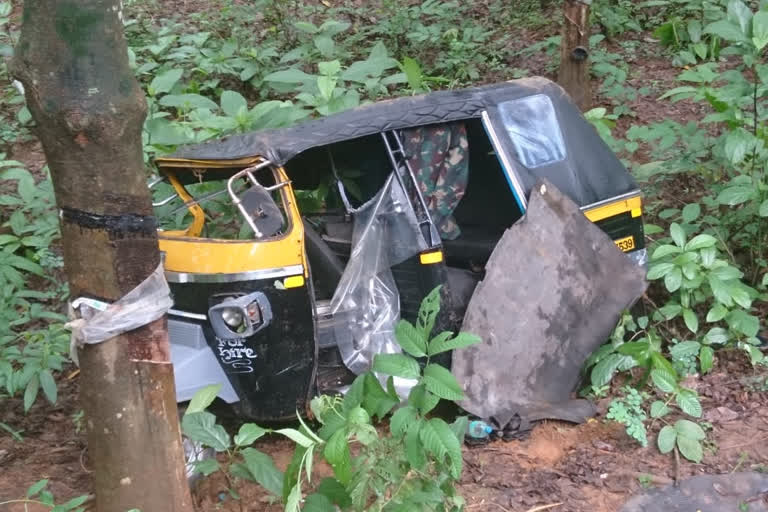 palakkad one year old boy died on accident  പാലക്കാട് താഴ്‌ചയിലേക്ക് മറിഞ്ഞ ഓട്ടോയില്‍ നിന്ന് തെറിച്ചുവീണ് ഒരുവയസുകാരന്‍ മരിച്ചു  പാലക്കാട് ഓട്ടോറിക്ഷയില്‍ പിക്കപ് വാന്‍ ഇടിച്ച് ഒന്നര വയസുകാരന്‍ മരിച്ചു  palakkad road accident one year old boy got dead  accident news from palakkad