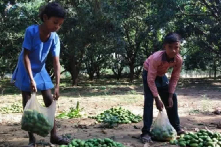 फसल को भारी नुकसान