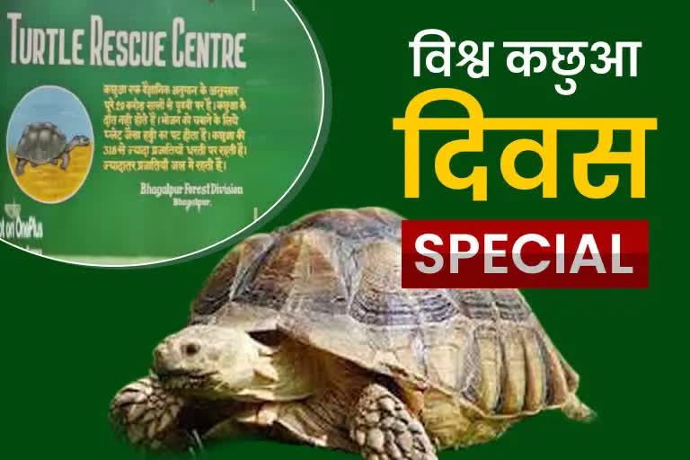 bihar-jharkhand-only-turtle-rehabilitation-center-in-bhagalpur