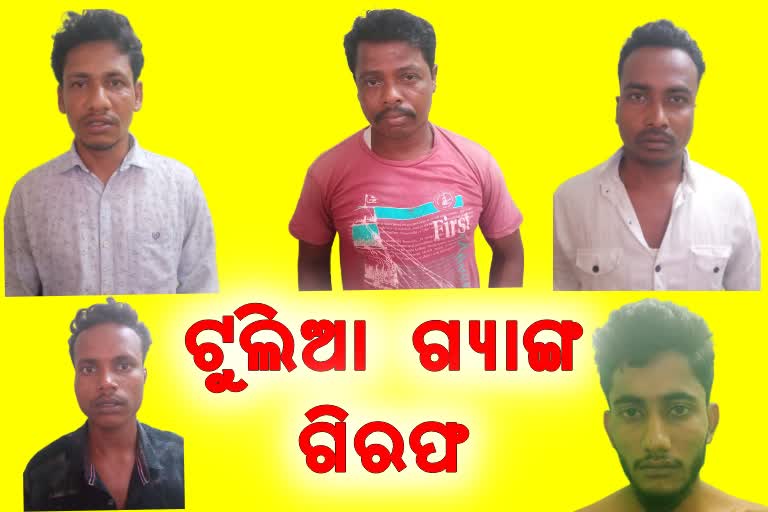 ଦାଦାବଟି ମାଗି ଗିରଫ ହେଲା ଟୁଲିଆ ଓରଫ ପ୍ରମୋଦ ଭୋଇ ଗ୍ୟାଙ୍ଗ