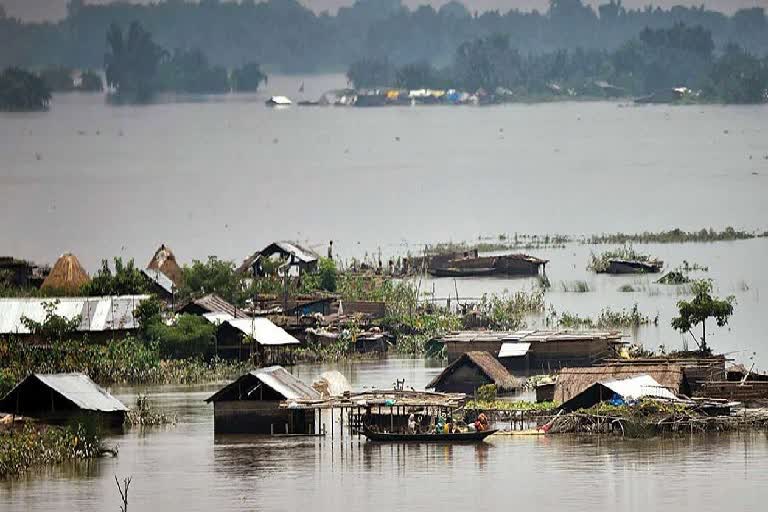 Assam Flood News