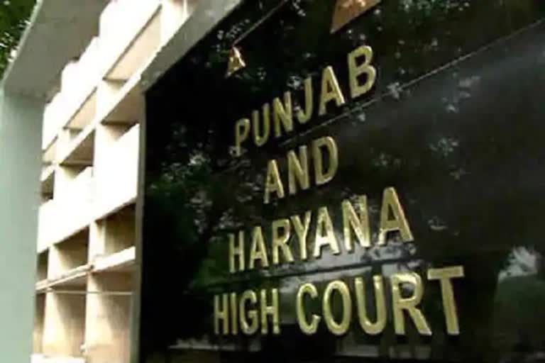 punjab haryana hc