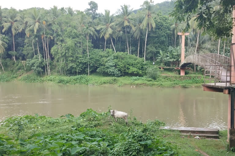 goa model project in karimbuzha river palakkad  water conservation in palakkad district  projects and plants taken by the palakkad district panchayath for water conservation  പാലക്കാട് കരിമ്പുഴ പുഴയില്‍ ഗോവന്‍ മാതൃകയില്‍ തടയണ  ഒരു കോടി ഏഴുലക്ഷം രൂപയാണ് തടയണ നിര്‍മാണത്തിനായി പാലക്കാട് ജില്ലാ പഞ്ചായത്ത് വകയിരുത്തിയത്‌